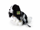 Rappa Plyšový pes Kavalier s vodítkem 27 cm ECO-FRIENDLY