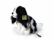 Rappa Plyšový pes Kavalier s vodítkem 27 cm ECO-FRIENDLY