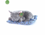 Rappa Plyšový pes francouzský buldoček ležící 23 cm ECO-FRIENDLY