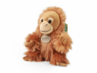 Rappa Plyšový orangutan 18 cm ECO-FRIENDLY