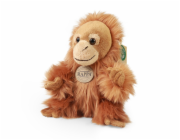 Rappa Plyšový orangutan 18 cm ECO-FRIENDLY
