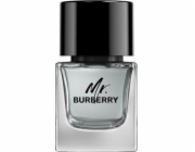 Burberry BURBERRY Mr. Burberry EDT sprej 50ml