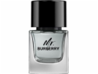 Burberry BURBERRY Mr. Burberry EDT sprej 50ml