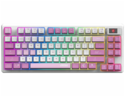 MSI herní klávesnice FORGE GK600 TKL Violet/ bezdrátová 2,4GHz+BT/ mechanická/ RGB/ USB-C/ display/ CZ+SK layout