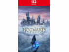 NS2 - Hogwarts Legacy