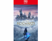 NS2 - Hogwarts Legacy