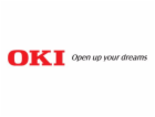 OKI Fuser (45531113)