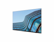 Lenovo ThinkVision E55 54,6"/16:9/3840x2160/8ms