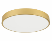IMMAX NEO LITE SEMPLICI SMART LED stropní svítidlo zlaté 60cm 60W 4500 lm, BEACON gold, Wi-Fi, TUYA