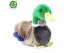 Rappa Plyšová kachna 20 cm ECO-FRIENDLY