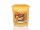 Yankee Candle Votivní svíčka Mango peach salsa 49g