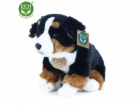 Rappa Plyšový pes bernský salašnický sedící 25 cm  ECO-FR...