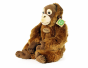Rappa Plyšová opice orangutan 27 cm ECO-FRIENDLY