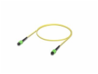 UBNT UACC-OFC-SA-MPMP-1M - optický patch cord MPO-12 Type...
