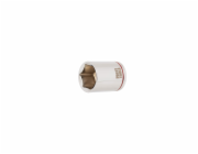 Šroub s válcovou hlavou Forte Tools, 23 mm, 1/2"