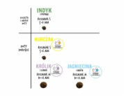 PAKA ZWIERZAKA Kitten Turkey with trout S - suché krmivo pro kočky - 400g