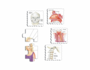 Larsen Vzdělávací puzzle Naše tělo 35 dílků