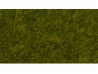 Noch Statická tráva divoká Louka 6 mm