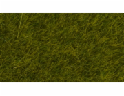 Noch Statická tráva divoká Louka 6 mm