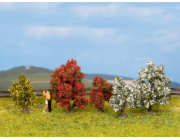 Noch Keř kvetoucí sada 5 ks