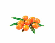 SHELMA Rich in turkey in sauce - mokré krmivo pro kočky - 85g