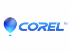 CorelDRAW Graphics Suite Special Edition 2024 CZ/PL ESD