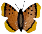 6087709