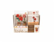 RoboTime Displej s Červenou kamélií a Růžovou růží