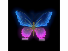 2Kids Toys LED NEON LIGHT lampička Motýl