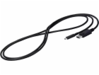 Eizo USB kabel EIZO CP200-BK, 2 m, USB C, DisplayPort, sa...