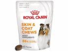 ROYAL CANIN Supplements Dog Skin & Coat Adult - vitamíny ...