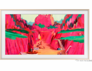 Samsung VG-SCFF65SGMXC