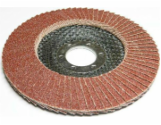 Stříbrná ŚCIERNICA LISTK.SILVER 125 P 100 EX10055 STŘÍBRNÁ