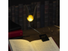 Harry Potter LED noční světlo s Harrym Potterem