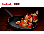 Tefal C2920253