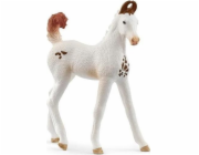 Schleich Horse Club Marwari hříbě, hračka