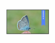 BENQ ST4304 Smart Signage, LED Panel 4K UHD 43"