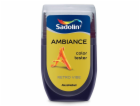 Tester barev Ambiance Retro Vibe 30 ml