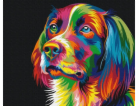 Symag Malování podle čísel - Pes v barvách