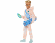 Mattel Barbie Dream Besties panenka Ken + příslušenství (JDD75)