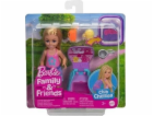 Mattel Barbie Family&Friends Chelsea Club JBF46