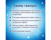 PURINA Dentalife Mini - pamlsek pro psa - 69g