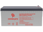 Baterie Conexpro AGM-12-200-DP VRLA AGM 12V/200Ah, M8, De...