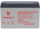 Baterie Conexpro AGM-12-100-DP VRLA AGM 12V/100Ah, M8, De...