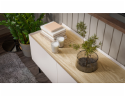 Cama FELLINI 400110 televizní stolek/nábytek k multimediálnímu vybavení