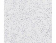 Tapeta ASCreation Pacifica 397232, vinylová