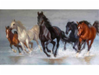 Norimpex Diamantová mozaika - Koně 40x80 cm