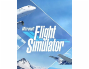 ESD Microsoft Flight Simulator