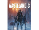 ESD Wasteland 3
