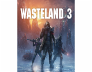ESD Wasteland 3